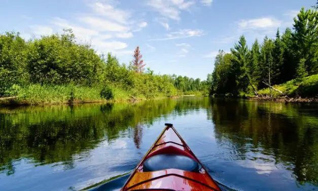 Can A Fitbit Track Kayaking? (And What To Use Instead)